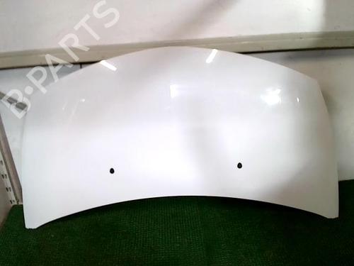 Used Hood RENAULT CLIO III (BR0/1, CR0/1) 1.5 dCi (75 hp) 22298506