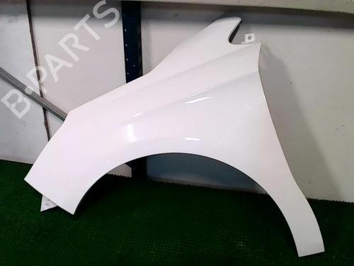 left-front-fenders-citroen-c4-ii-nc_-2009-28706932 main image