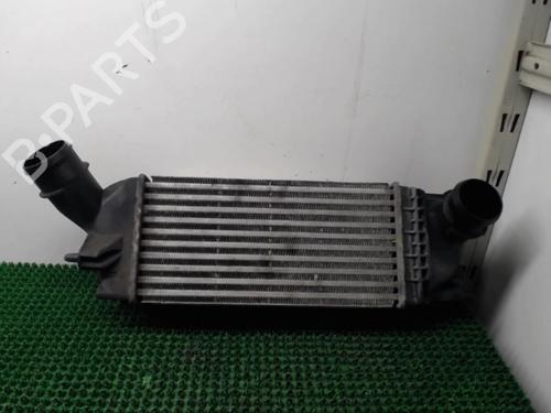 Intercooler CITROËN C5 III Break (RW_) 2.0 HDi | BP22085512M30 - Image 2