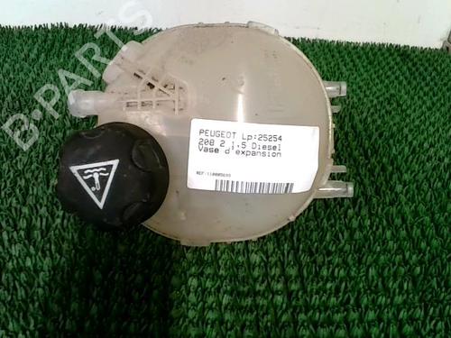 Used Expansion tank PEUGEOT 208 II (UB_, UP_, UW_, UJ_) 1.5 BlueHDI 100 (102 hp) 29304192