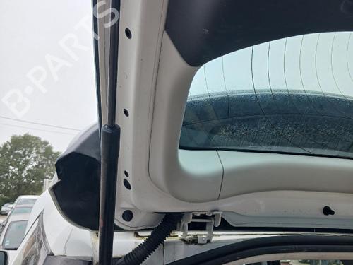 Used Tailgate lift support Tailgate lift support LAND ROVER DISCOVERY SPORT (L550) 2.0 D 4x4 (150 hp) 40484082 40484082