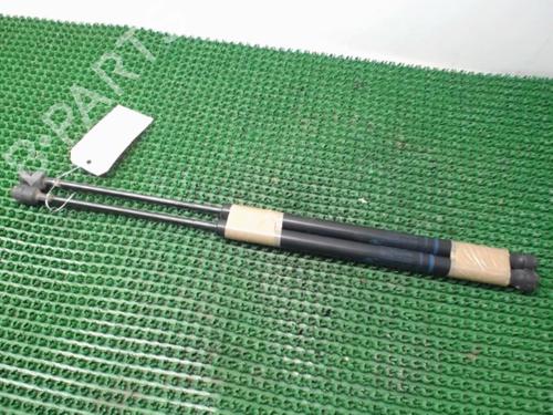 Used Tailgate lift support RENAULT SCÉNIC II (JM0/1_) 1.5 dCi (JM1E, JM16) (106 hp) 22077477