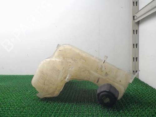 Ekspansjonstank Ekspansjonstank RENAULT LAGUNA Coupe (DT0/1) 2.0 dCi (DT01, DT08, DT09, DT0K, DT12, DT1C, DT1D, DT1M,... (150 hp) 22085320 22085320