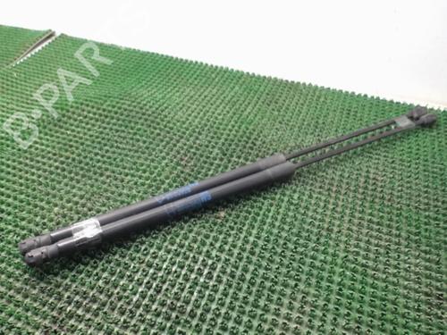 Used Tailgate lift support OPEL CORSA D (S07) 1.3 CDTI (L08, L68) (75 hp) 22082316