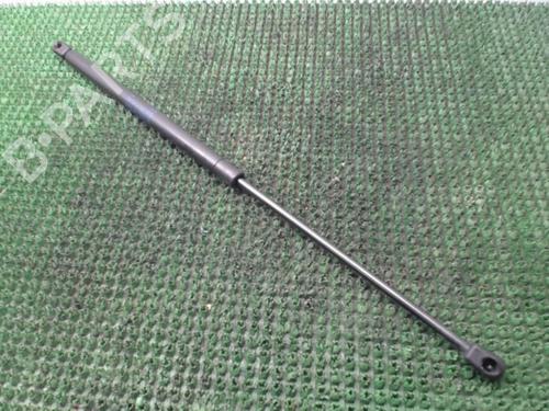 Hood lift support SEAT TOLEDO II (1M2) 1.9 TDI | BP22080476C139 