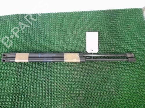 Used Tailgate lift support RENAULT SCÉNIC II (JM0/1_) 1.9 dCi (JM0G, JM12, JM1G, JM2C) (120 hp) 22077406