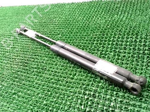 Used Tailgate lift support DACIA SANDERO II TCe 90 (B8M1, B8MA, B8AC) (90 hp) 22090233