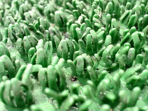 Steering pump RENAULT SCÉNIC I MPV (JA0/1_, FA0_) 1.9 dCi (JA05, JA1F) | BP28496882M99