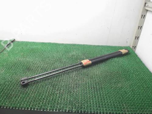 Used Tailgate lift support RENAULT MEGANE III Coupe (DZ0/1_) 1.5 dCi (DZ0C, DZ1A) (90 hp) 22087332