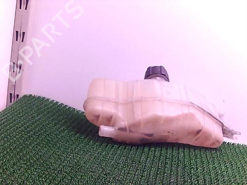 Expansion tank RENAULT CLIO III (BR0/1, CR0/1) 1.5 dCi (C/BR0G, C/BR1G) | BP22076416C120 