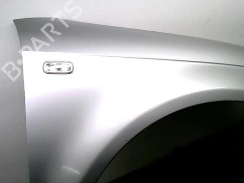 Right front fenders AUDI A3 (8P1) 2.0 TDI 16V | BP30903890C42