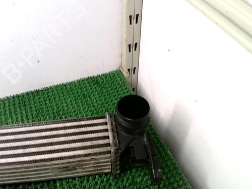 Used Intercooler Intercooler SEAT IBIZA IV (6J5, 6P1) 1.4 TDI (80 hp) 27876502 27876502
