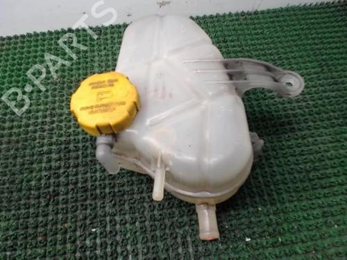 Used Expansion tank OPEL CORSA D (S07) 1.3 CDTI (L08, L68) (75 hp) 22080206