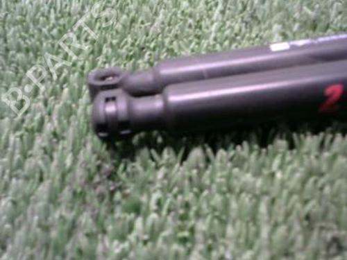 Tailgate lift support RENAULT CLIO IV (BH_) 1.5 dCi 90 | BP22088559C138 