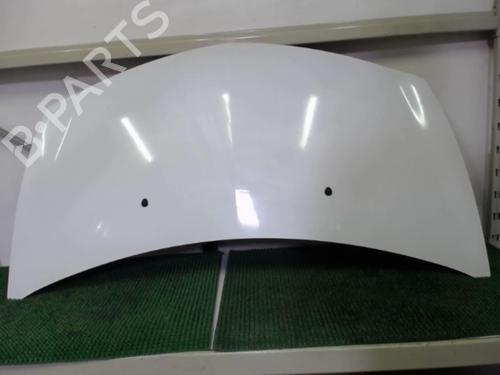 Hood RENAULT CLIO III (BR0/1, CR0/1) 1.5 dCi (C/BR0G, C/BR1G) | BP20876514C1 