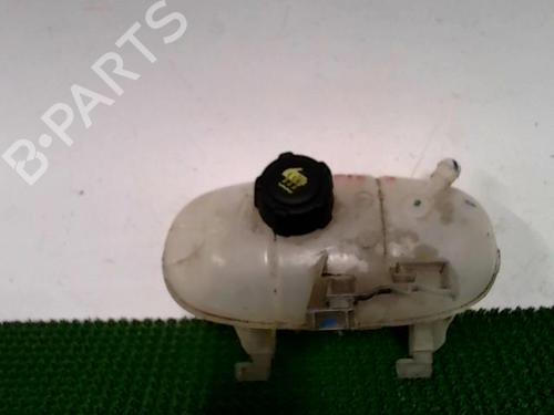 Used Expansion tank RENAULT TRAFIC III Van (FG_) 1.6 dCi 95 (FGMJ, FGMR) (95 hp) 30051954