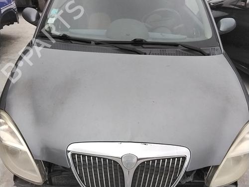 Used Hood Hood LANCIA YPSILON (843_) 1.3 JTD (843.AXD11, 843.AXD1A) (70 hp) 34271175 34271175