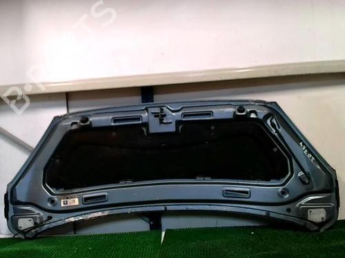 Used Hood PEUGEOT 1007 (KM_) 1.4 HDi (68 hp) 20877048