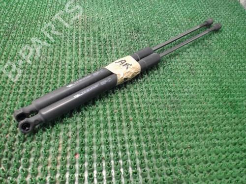 Used Tailgate lift support CITROËN C3 II (SC_) 1.4 HDi 70 (SC8HZC, SC8HR0, SC8HP4) (68 hp) 22080913