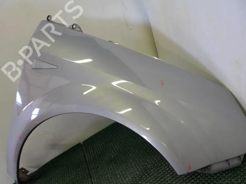 Right front fenders RENAULT SCÉNIC II (JM0/1_) 1.9 dCi (JM0G, JM12, JM1G, JM2C) | BP22078064C42 