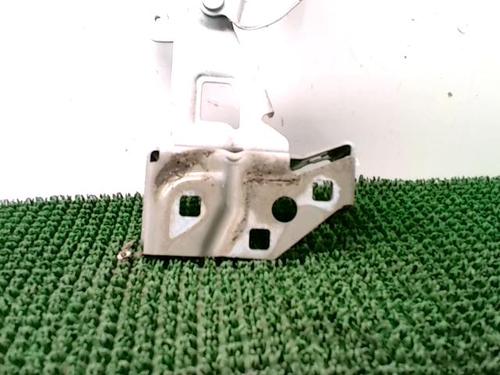 Hinge/Door check strap RENAULT TRAFIC III Bus (JG_) 1.6 dCi 125 (JGMH) | BP29958617C146