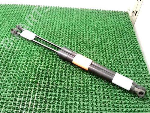 Tailgate lift support RENAULT CLIO IV (BH_) 1.5 dCi 90 | BP24031873C138 