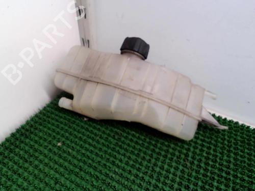 Expansion tank RENAULT CLIO III (BR0/1, CR0/1) 1.5 dCi (BR17, CR17) | BP22083834C120 