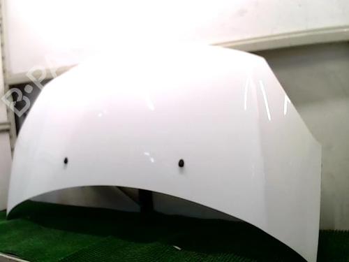 hood-citroen-c3-ii-sc_-2009-26281513 main image