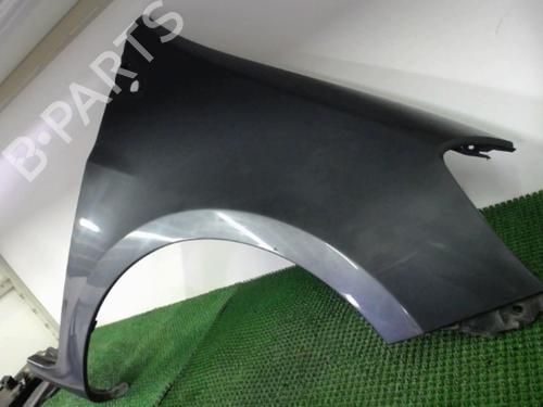 Right front fenders RENAULT CLIO III (BR0/1, CR0/1) 1.5 dCi (BR17, CR17) | BP20875595C42 