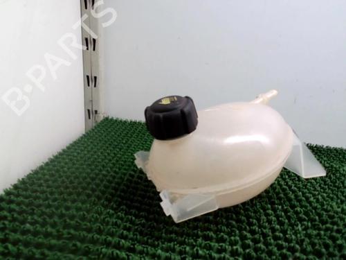 Expansion tank RENAULT CLIO IV (BH_) 1.5 dCi 90 | BP22084902C120 