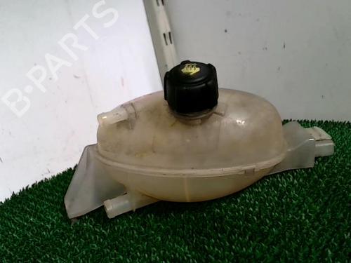 expansion-tank-renault-master-iii-van-fv-23-dci-100-fwd-fv0a-fv0b-fv0g-fv0k-fv0h-2010-21567169 main image
