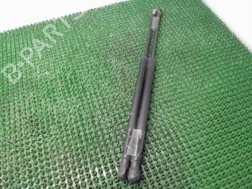 Used Tailgate lift support Tailgate lift support ALFA ROMEO MITO (955_) 1.4 (955AXB1B) (78 hp) 22084247 22084247