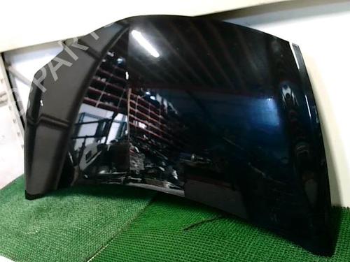 Hood RENAULT CLIO III (BR0/1, CR0/1) 1.5 dCi (BR0H, CR0H, CR1S, BR1S) | BP20874843C1 