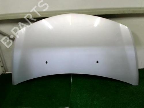 Used Hood RENAULT CLIO III (BR0/1, CR0/1) 1.5 dCi (C/BR0G, C/BR1G) (68 hp) 25262263
