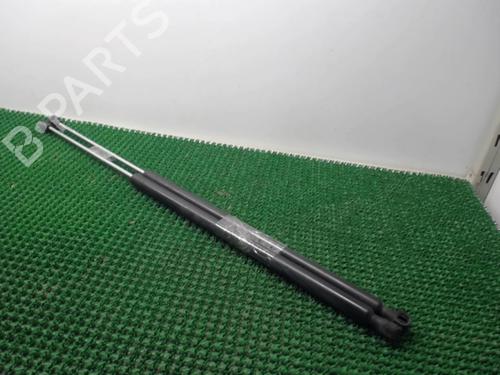 Used Tailgate lift support CITROËN BERLINGO / BERLINGO FIRST MPV (MF_, GJK_, GFK_) 1.6 HDI 75 (MF9HW, GJ9HWC, GF9HWC, GN9HWC) (75 hp) 22076556