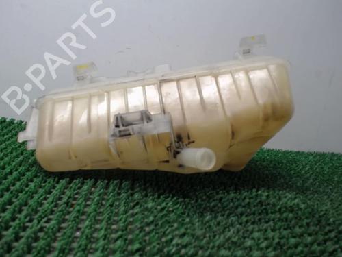 Expansion tank RENAULT KANGOO / GRAND KANGOO II (KW0/1_) 1.5 dCi 90 (KW05, KW08, KW0G, KW11) | BP22077774C120 