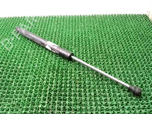 Hood lift support RENAULT CLIO IV (BH_) 1.5 dCi 90 | BP29924916C139