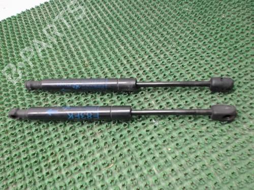 Used Hood lift support BMW X3 (E83) 2.0 d (150 hp) 22083164