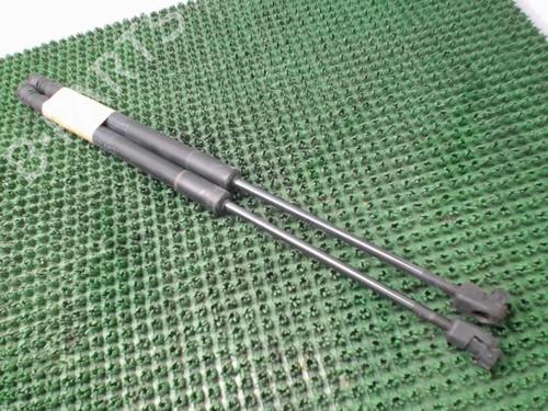 Used Tailgate lift support RENAULT CLIO III Grandtour (KR0/1_) 1.5 dCi (KR0F) (86 hp) 22081016