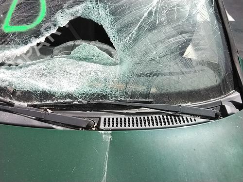 Used Front windshield wiper arm Front windshield wiper arm FIAT PUNTO (176_) [1993-1999] 34176659 34176659