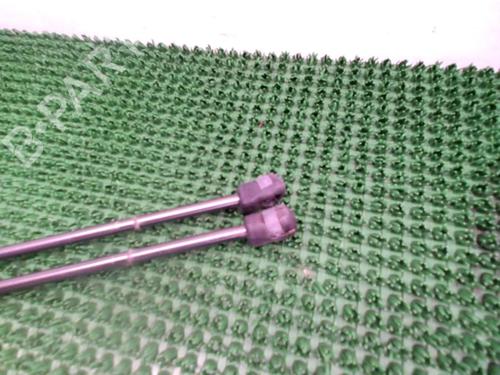 Tailgate lift support FORD C-MAX II (DXA/CB7, DXA/CEU) 1.6 TDCi | BP22086061C138 