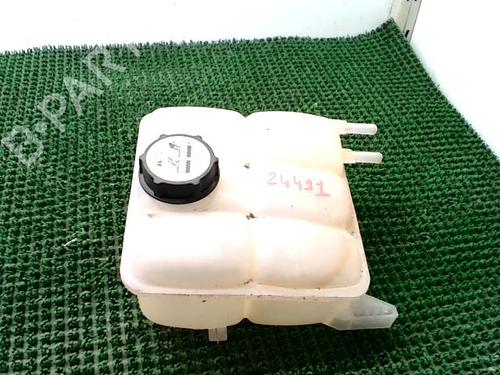 Used Expansion tank FORD C-MAX (DM2) 2.0 TDCi (110 hp) 29816934