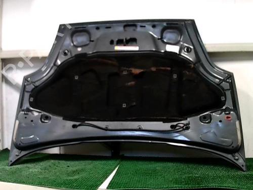 Hood FIAT PUNTO EVO (199_) 1.3 D Multijet | BP22090514C1 