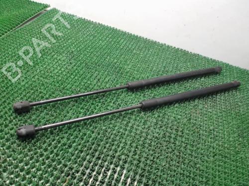Tailgate lift support FORD FIESTA VI (CB1, CCN) 1.4 TDCi | BP22084171C138 