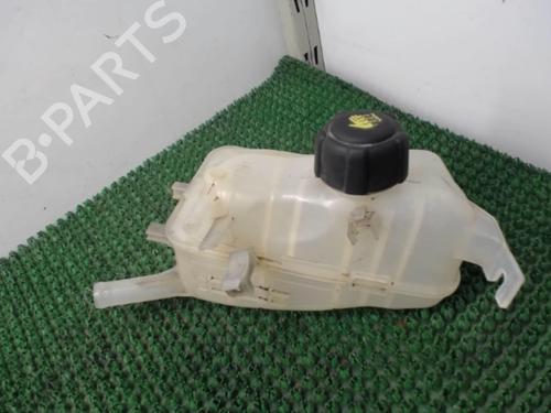 expansion-tank-renault-megane-iii-hatchback-bz01_-b3_-15-dci-2008-22081296 main image