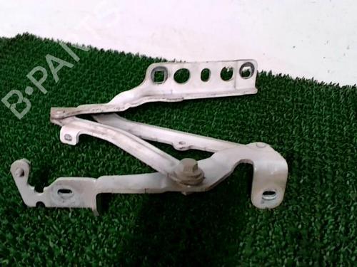 Hinge/Door check strap PEUGEOT 3008 II SUV (MC_, MR_, MJ_, M4_) 1.6 BlueHDi 120 | BP22438426C146 