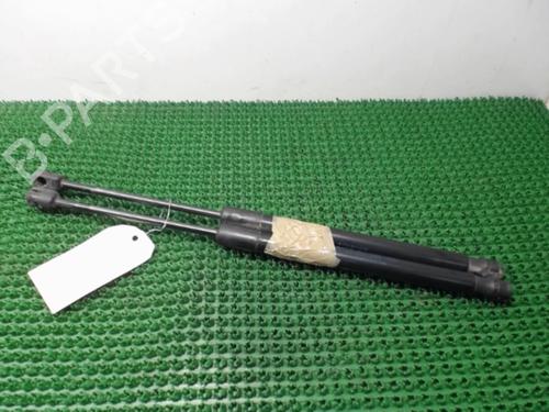 Used Tailgate lift support RENAULT MEGANE III Hatchback (BZ0/1_, B3_) 1.5 dCi (BZ0C) (90 hp) 22077880