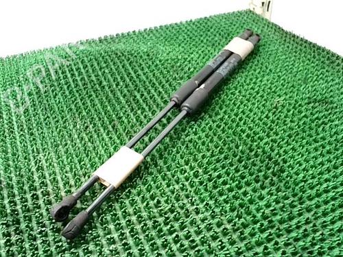 tailgate-lift-support-citroen-c3-iii-sx-2016-30364280 main image