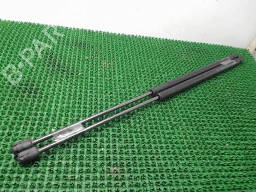 Tailgate lift support CITROËN C4 Picasso I MPV (UD_) 1.6 HDi | BP22084412C138 