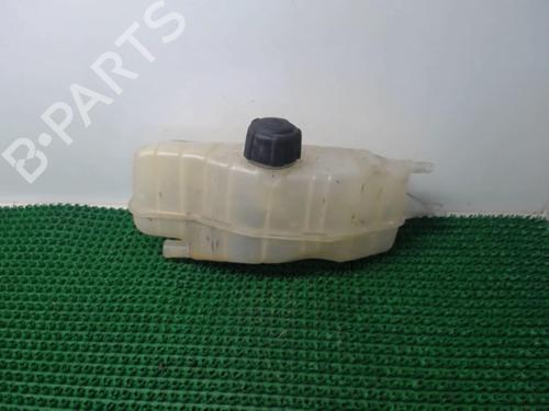 Ekpansionstank RENAULT CLIO III (BR0/1, CR0/1) 1.5 dCi (BR17, CR17) (86 hp) 22077086